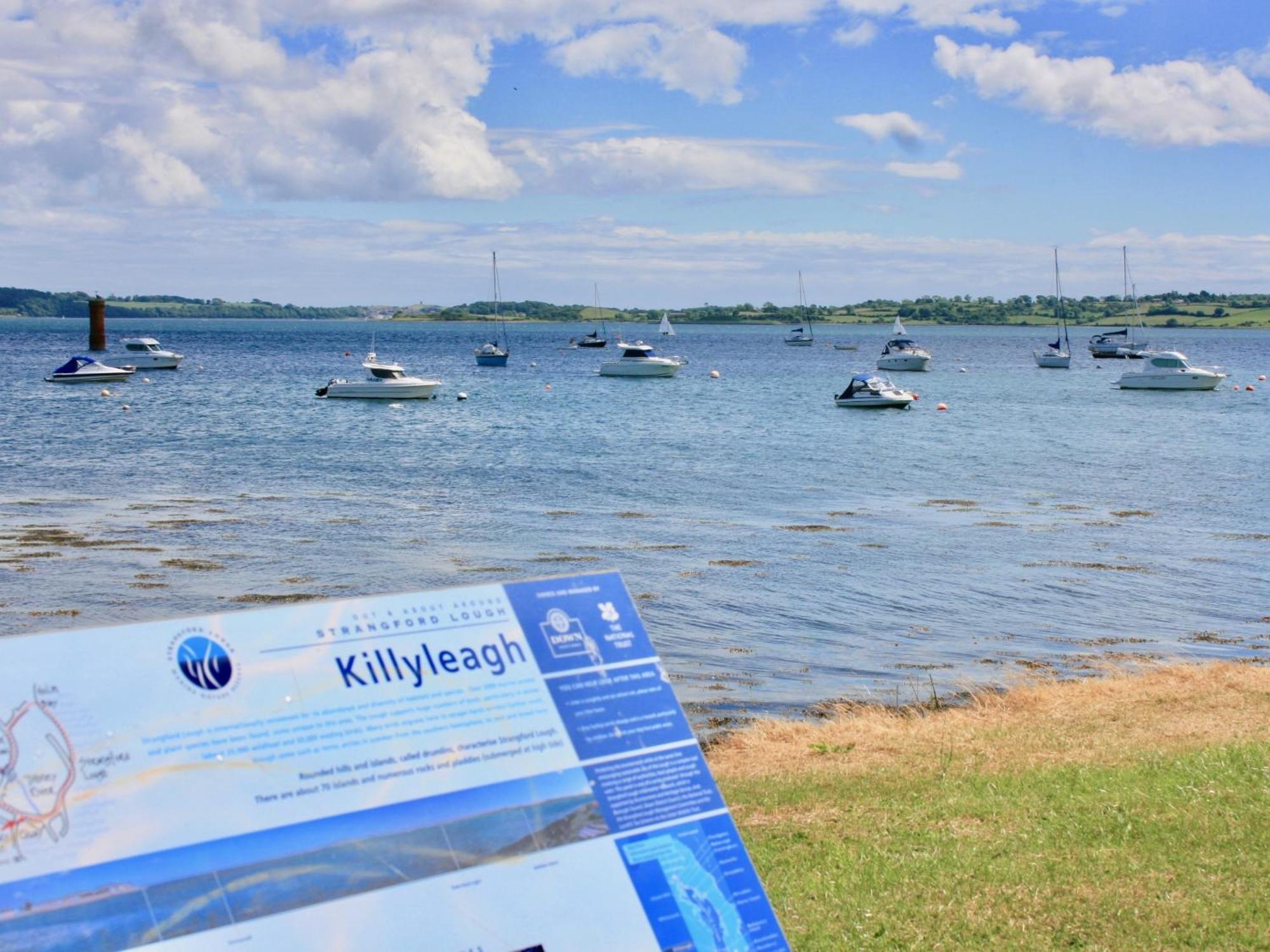 Hamilton House Holiday Apartment Killyleagh Экстерьер фото